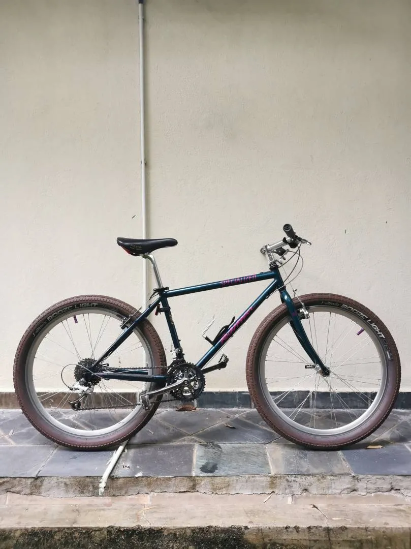 Specialized rockhopper 93 hot sale